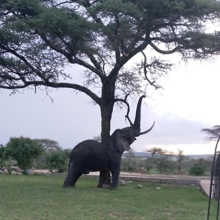 Seronera Wildlife Lodge Serengeti Exteriér fotografie