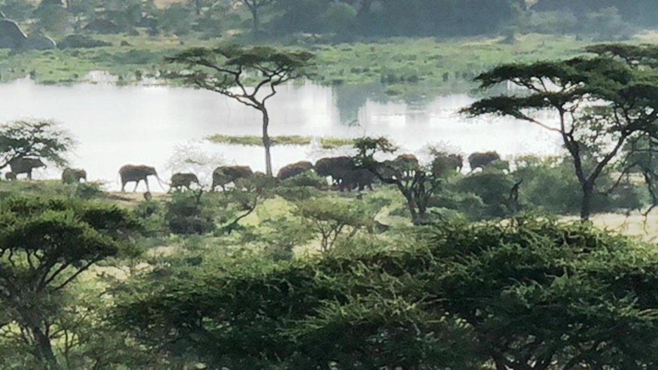 Seronera Wildlife Lodge Serengeti Exteriér fotografie