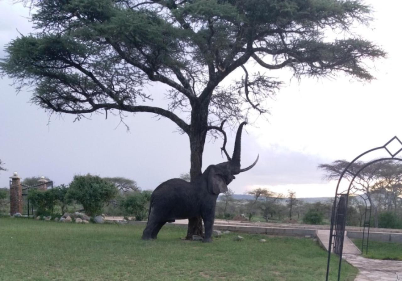 Seronera Wildlife Lodge Serengeti Exteriér fotografie